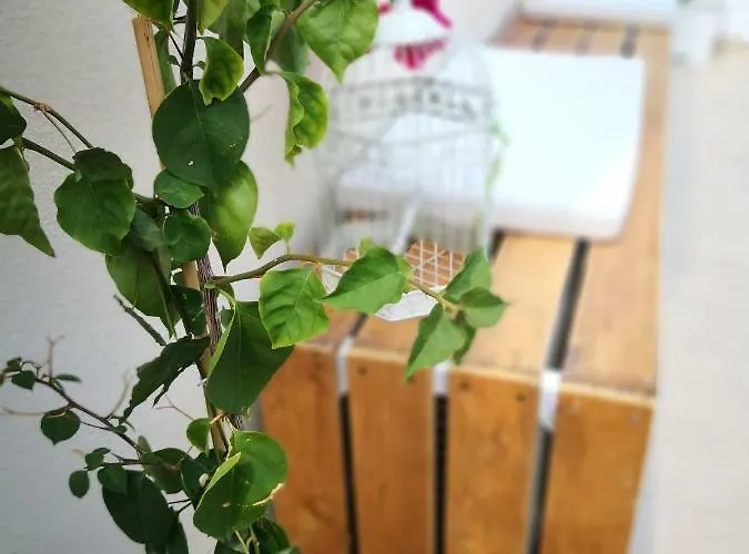 Semesterbostad La Roche