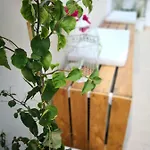 בית נופש La Roche